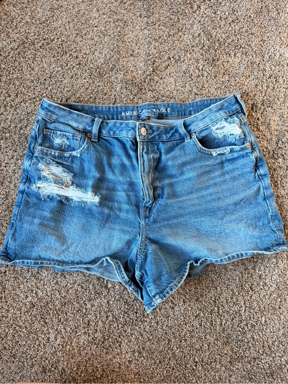 American Eagle Outfitters Light Blue Distressed Denim Shorts